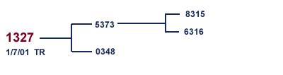 1327 Family Tree