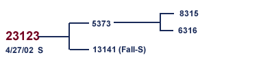 23123 family Tree