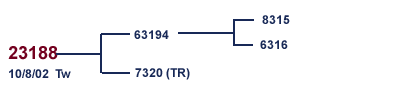 23188 Family Tree