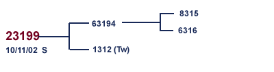 23199 Family Tree