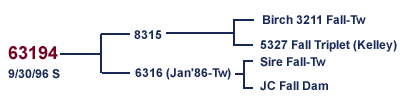 63194 Family Tree