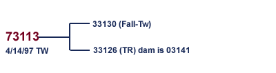 73113 Family Tree