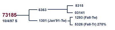 73185 Family Tree