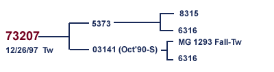 73207 Family Tree