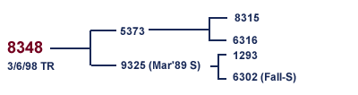 8348 Family Tree