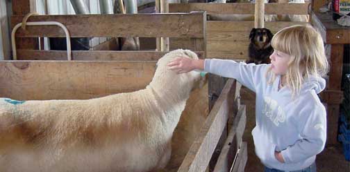 Allison Hunter with Lambs